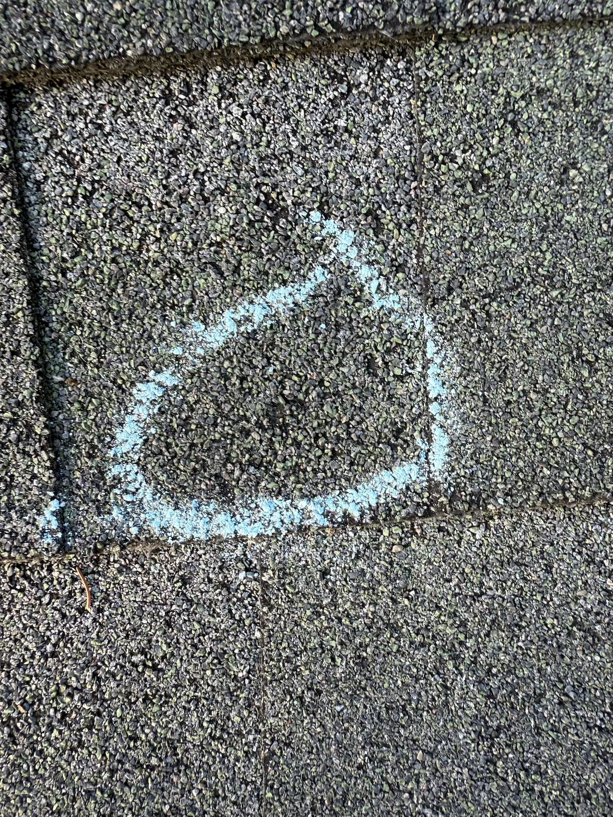IMG_0283.jpg